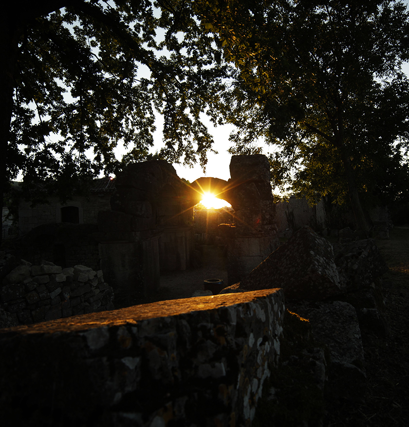 SUNNN OlioExtravergine Gallery Sannio Molise Campania Basilicata